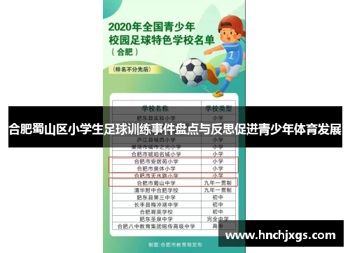合肥蜀山区小学生足球训练事件盘点与反思促进青少年体育发展